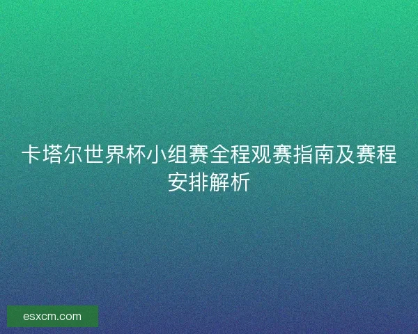 卡塔尔世界杯小组赛全程观赛指南及赛程安排解析